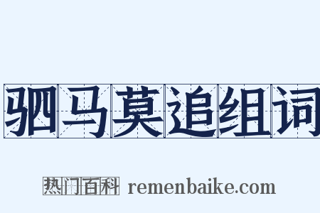 驷马莫追组词是什么意思的图片